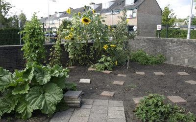 moestuinieren op het schoolplein?